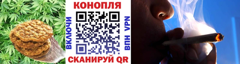 Canna-Cookies марихуана  Купить  Фрязино 