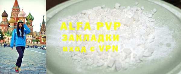сатива Ельня