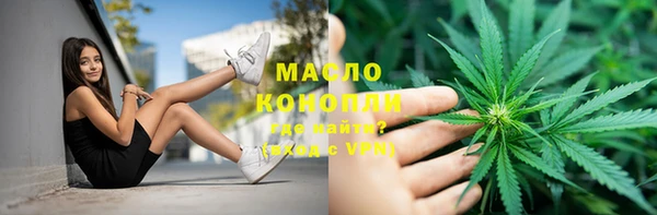 сатива Ельня