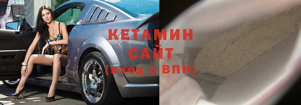 сатива Ельня