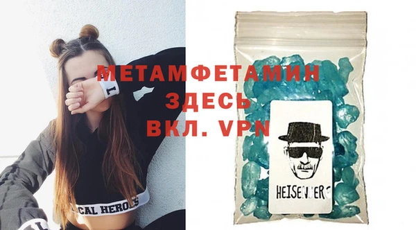 сатива Ельня